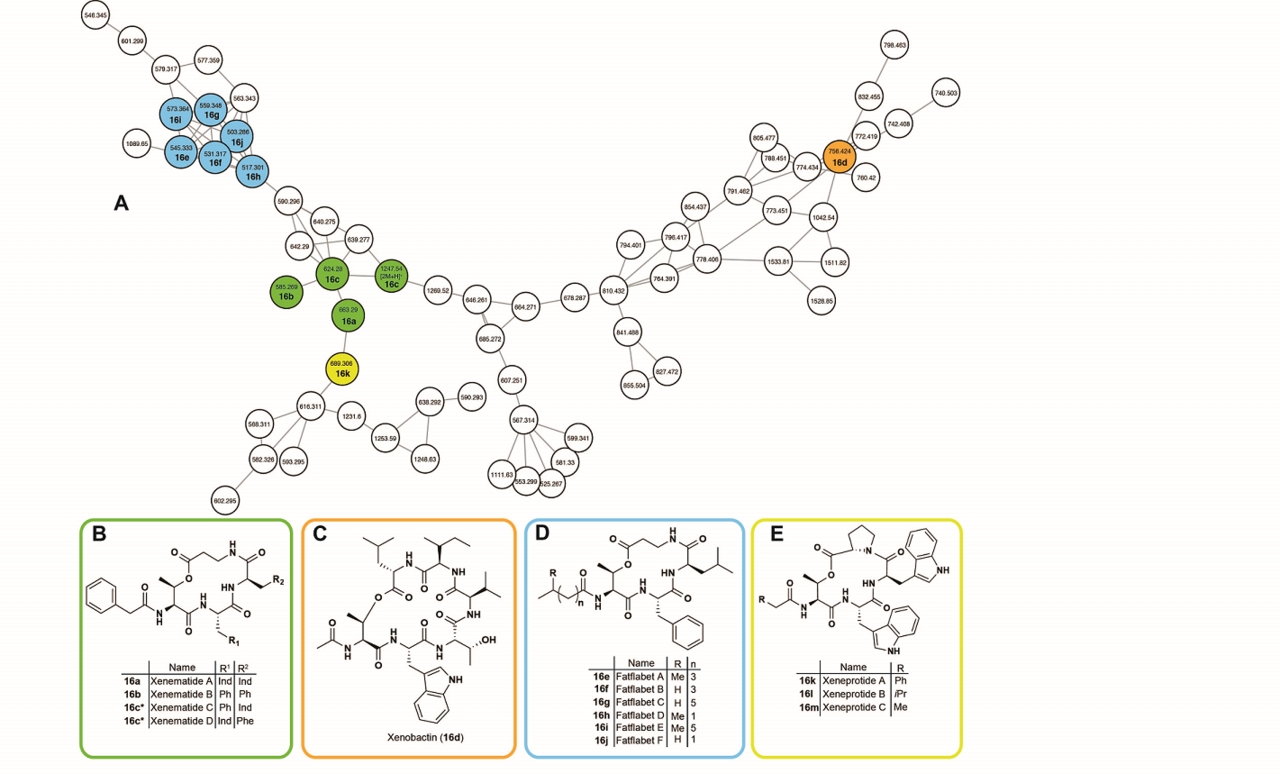 Natural products in nature: who does what and why?